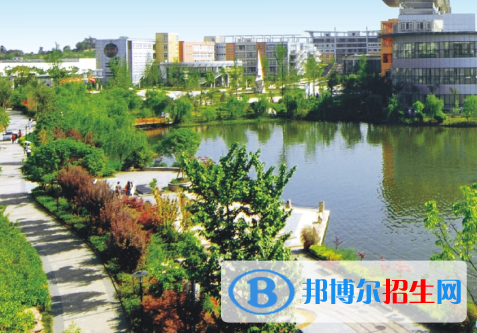职业