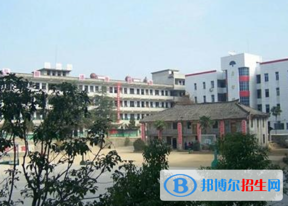 锦江区胜利中学网站网址 
