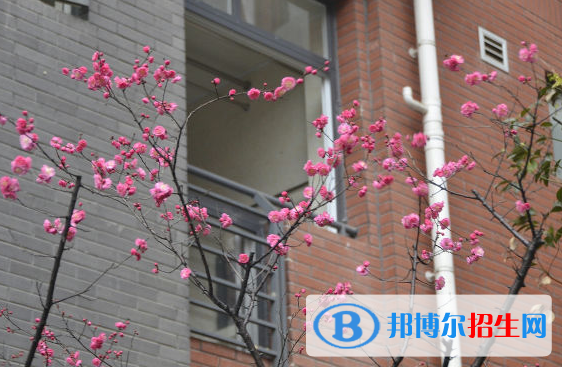 成都七中万达学校