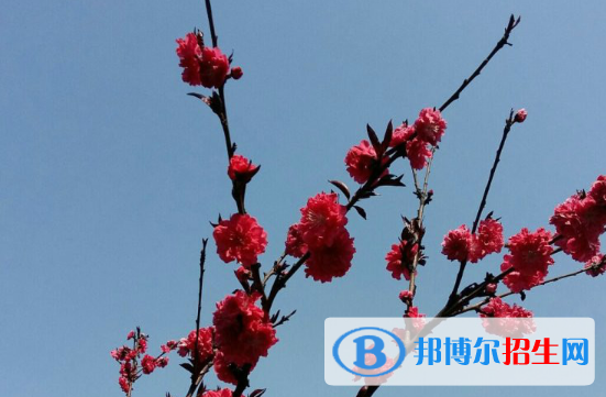四川省成都华西中学2021年排名