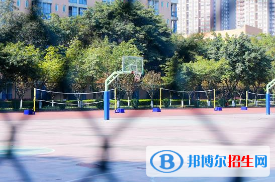 成都七中实验学校网站网址
