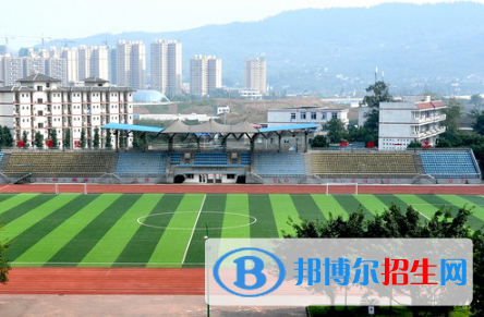 成都市龙泉一中网网站网址