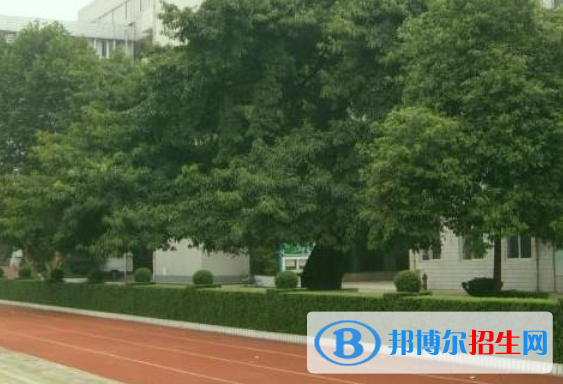成都石室锦城外国语学校网站网址 