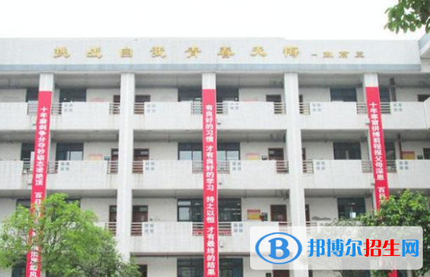 成都市青白江中学网站网址 