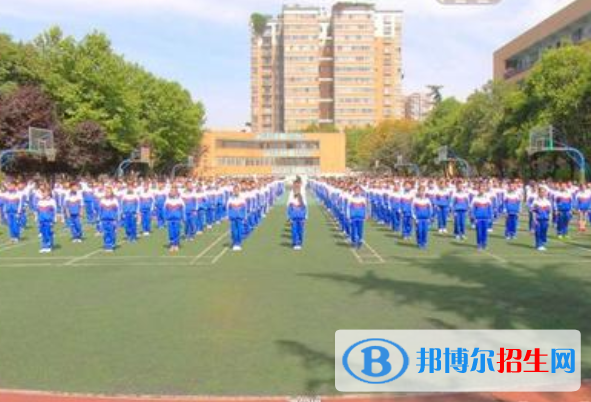 成都大学附属中学网站网址