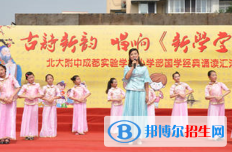 北大附中成都实验学校网站网址