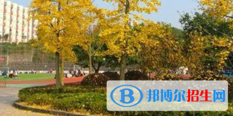 四川育英医养科技技工学校怎么样、好不好