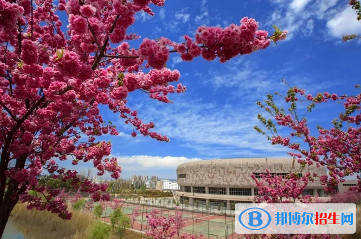 云南现代职业技术学院五年制大专为几专