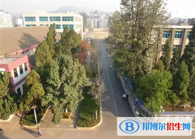 云南旅游职业学院五年制大专是几专