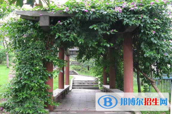 山东龙口矿业集团高级技工学校2021年报名条件、招生要求、招生对象