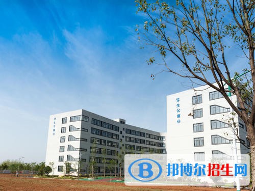安徽2021年现在上中专学校什么专业好