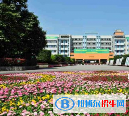 四川2021年中专和技校一样吗