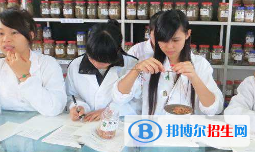 甘肃2021年读中专读什么专业好