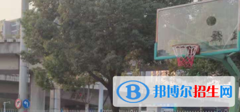 安徽2021年中专需要初中毕业证吗