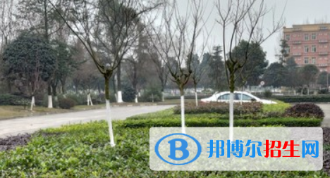 四川2021年电子商务学校哪家好