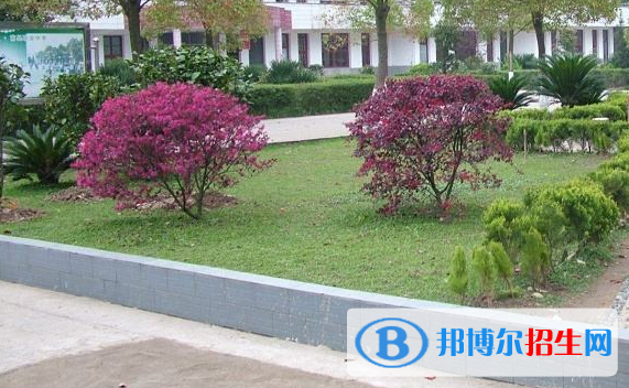 杭州2021年中专是什么学校