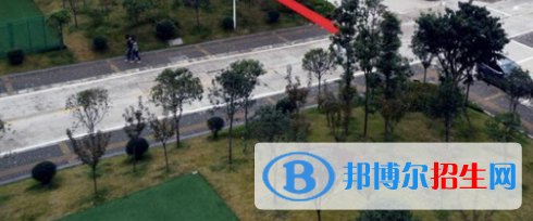 四川2021年什么电子商务学校有前途