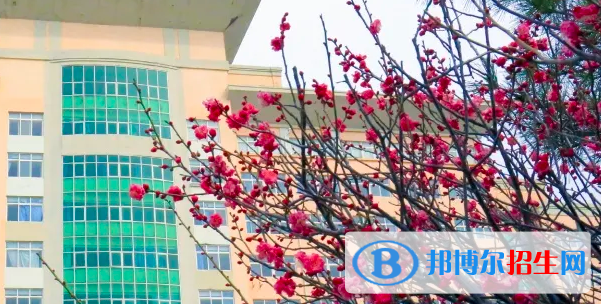 贵州2021年读中专多少钱
