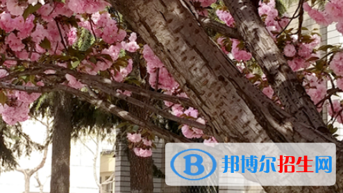 石家庄2021年有什么中专学校就业比较好
