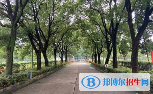 武汉江南技术学校网站网址