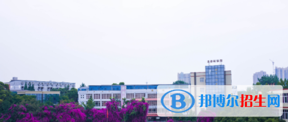 成都2021年护理学校是干什么的