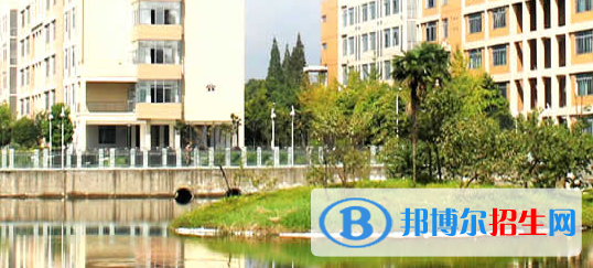 四川2021年以计算机学校为王牌专业的大专学校有哪些
