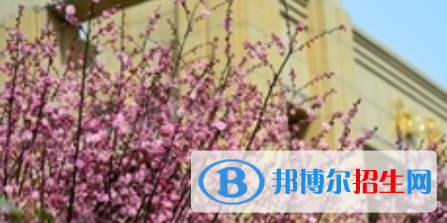 四川2021年200分能上计算机学校吗