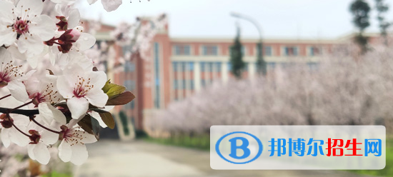 乐山市医药科技高级技工学校成都校区2022年有哪些专业