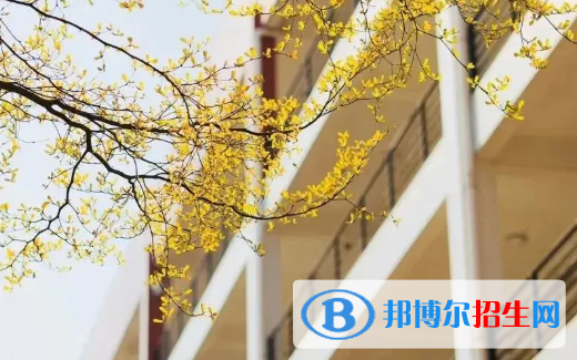 贵州2022年高中毕业中专学校都有什么专业