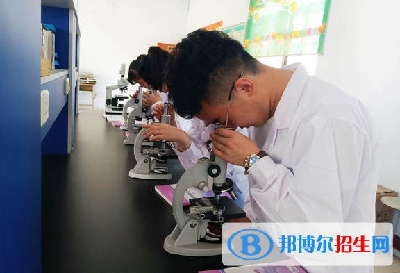 邯郸2022年读中专学校要初中毕业证吗
