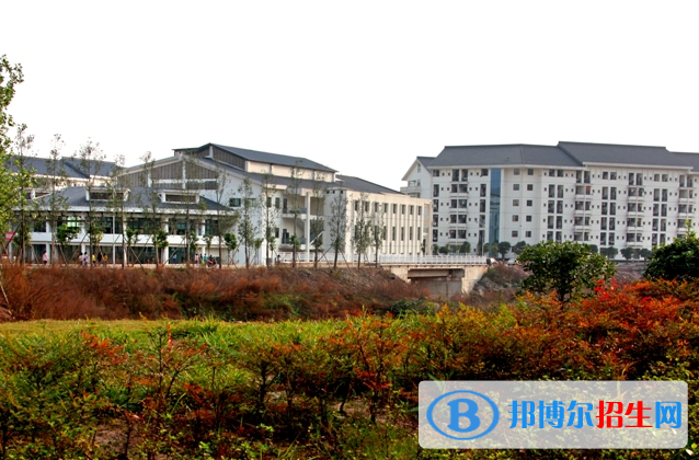 重庆2022年初中生读什么电子商务学校最好