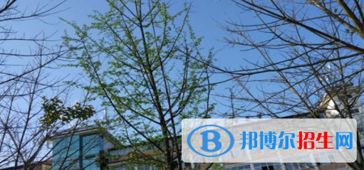四川现代艺术学校2022年报名条件、招生要求、招生对象