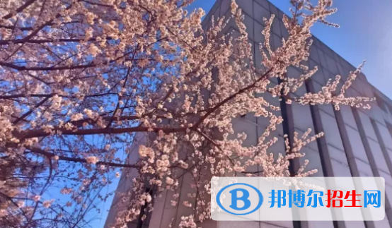 贵阳2022年上中专学校有什么好处