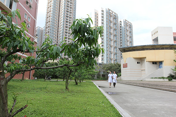 四川护理职业学院2022年报名条件、招生要求、招生对象