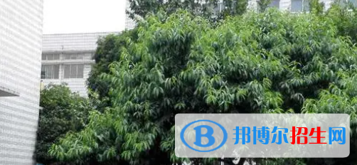 成都2022年哪所计算机学校比较好就业