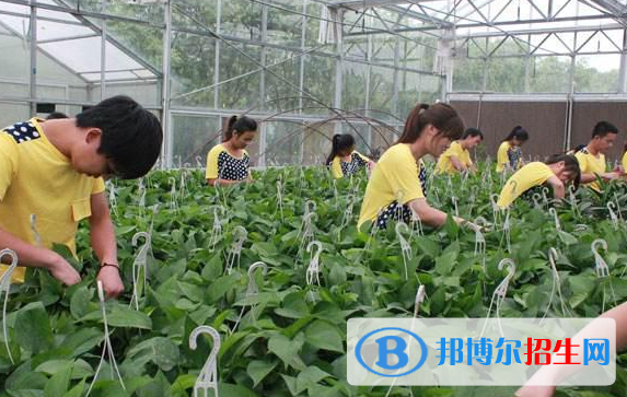 四川2022年中专学什么