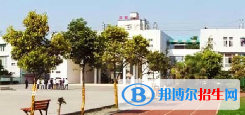 成都2022年初中生学计算机学校的学校