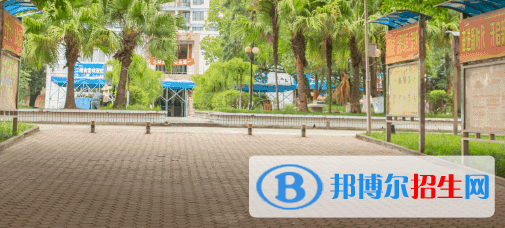 成都2022年女生读计算机学校学什么专业好