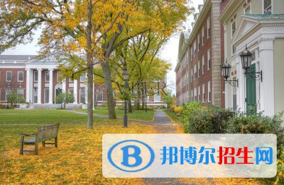 河北2022年计算机学校干什么的