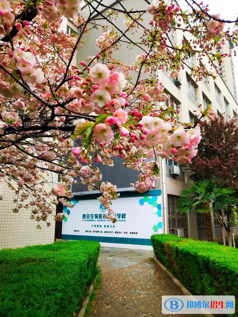 西安生物医药技术职业学校2022年招生办电话