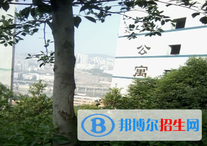 重庆2022年去读电子商务学校学什么对以后好一点