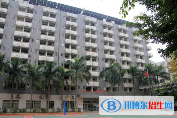 广州2022年电子商务学校比较好的大专学校