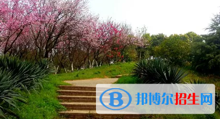 贵阳2022年没读完初中可以读中专学校吗