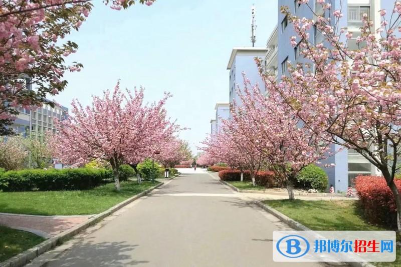 南京交通技师学院2022年报名条件、招生要求、招生对象
