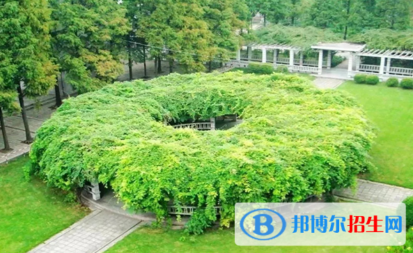 徐州生物工程职业技术学院中专部地址在哪里