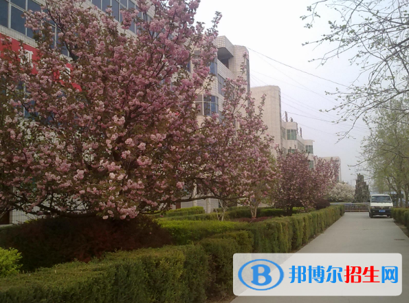 保定市徐水区职业技术教育中心2022年招生录取分数线