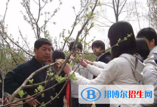 永清职教中心2022年招生录取分数线