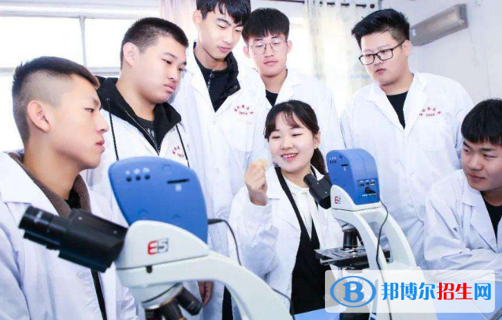 甘肃2022年上卫校需要多少分