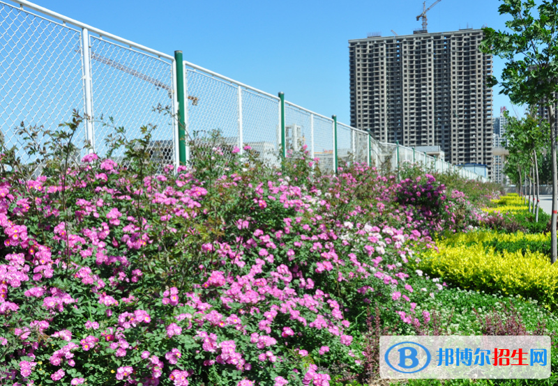 石家庄现代经贸中等专业学校怎么样、好不好