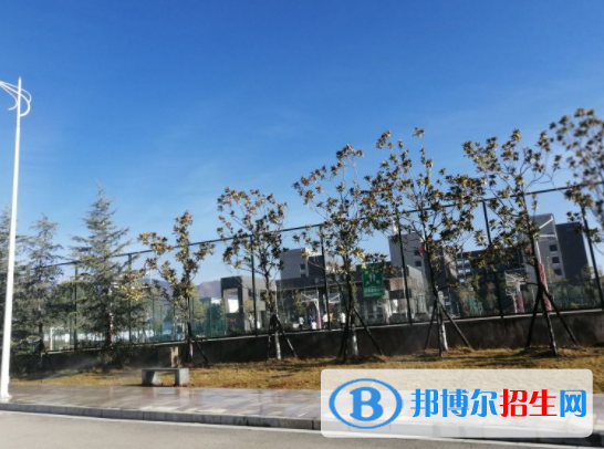 QQ截图20220117094204